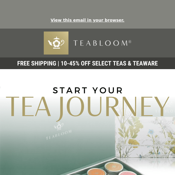 Start Your Tea Journey 🤩