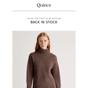 RE: 100% Organic Cotton Turtleneck Sweater