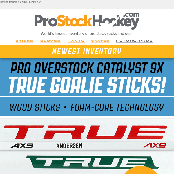 TRUE Goalie Sticks Pro Catalyst 9x – Only $99.99!