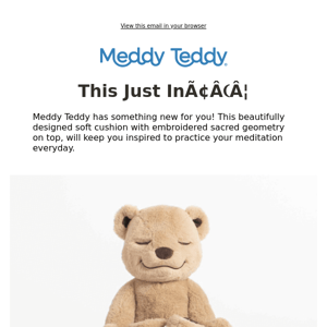 NEW ITEM: Meddy Teddy's New Meditation Cushion 🤩