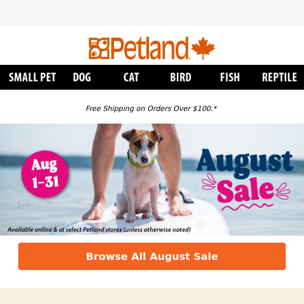 Scoop Up Big Savings For Your Pets 🏖️