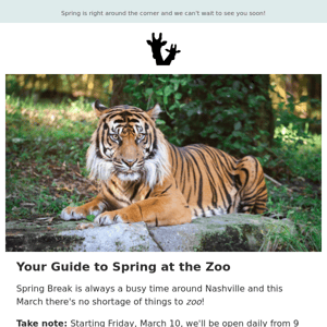 Your Guide to Spring at the Zoo! 🌷🐾