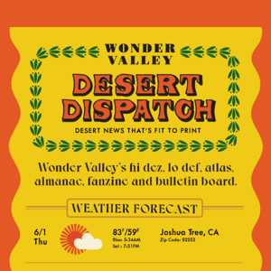 Desert Dispatch V.13