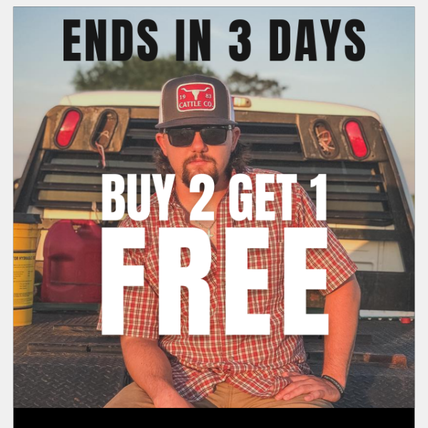 Buy 2 Get 1 Free Ends In 3 days!