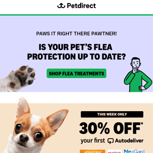 Paws It! 30% OFF Your First Flea Treatment Autodeliver Starts Now 🐾