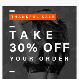 Pre-Thanksgiving: EVERYTHING 30% OFF