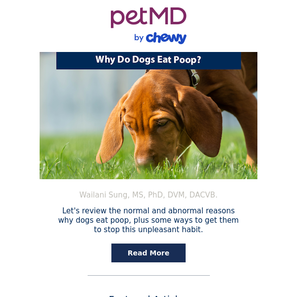 Why Do Dogs Eat Poop?