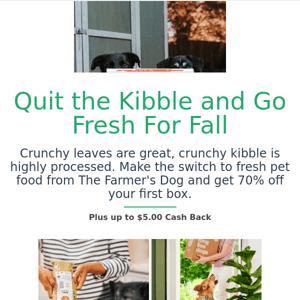 Get 70% off your first box with The Farmer's Dog