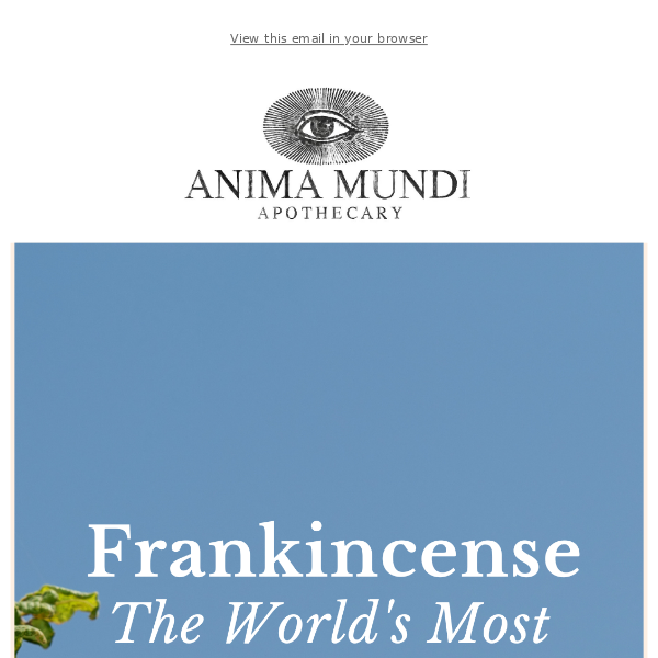 Frankincense: Scent of the Gods with Supernatural Powers