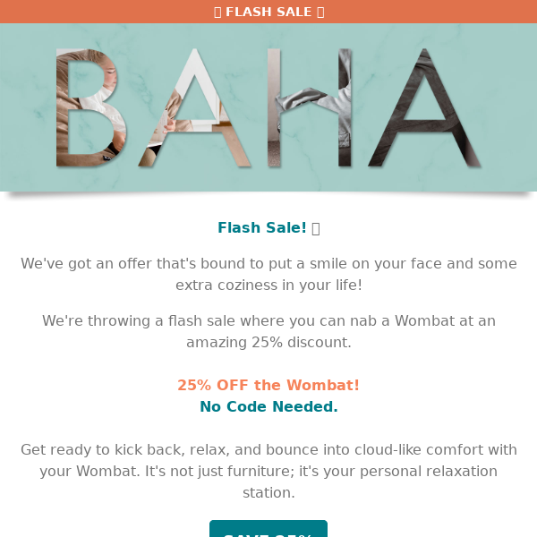 🎉 Flash Wombat Sale!