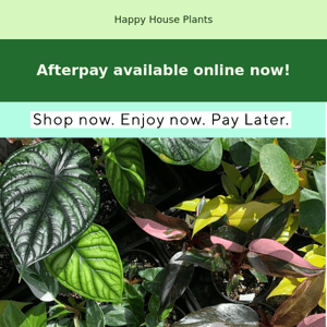 You asked, we got it! Afterpay available now.