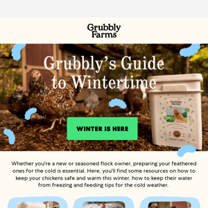 Prepare your flock with our Grubbly Winter Guide ❄️