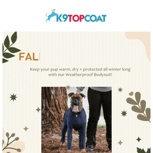 🎄Tis the Season for New Suit Names, Colors + More! - K9 Top Coat