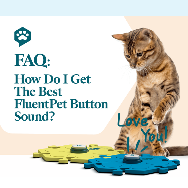 FAQ: How Do I Get The Best Button Sound? - Fluent Pet