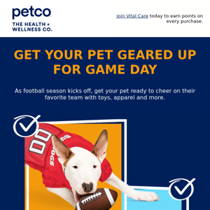 Score big and gear up your pet for sports season 🏈⚽🏀