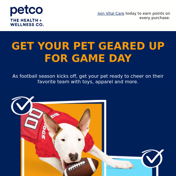Score big and gear up your pet for sports season 🏈⚽🏀
