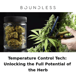 Article - 5 Minute Read: Temperature Control Tech: Unlocking the Full Potential of the Herb