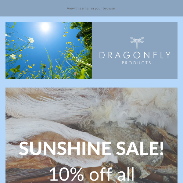 Sun's Out! Sale's On!