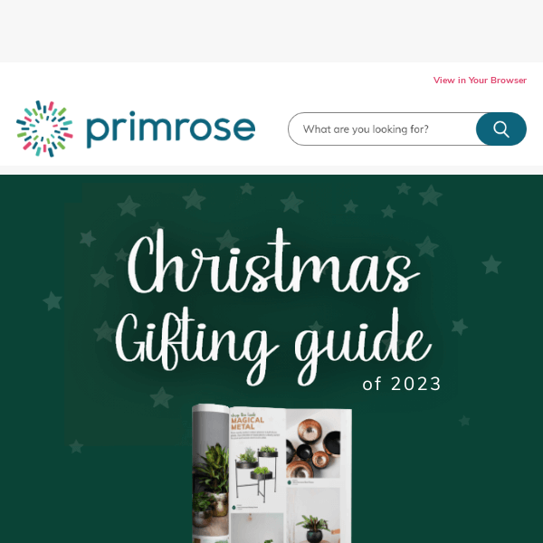 Primrose's Christmas Gifting Guide 🎁