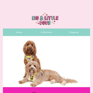 Hey Big And Little Dogs -  SCRUNCHIE: Hoppy Easter is now on sale!
