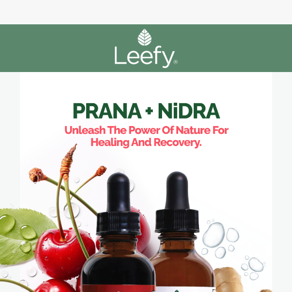 Discover the Power of the PRANA + NiDRA Bundle 🌱💤