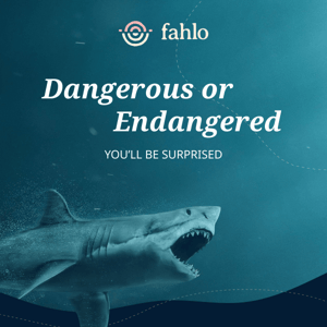 Sharks: Danger or Endangered? Learn the Truth!