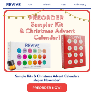 👏NEW: Sampler Kit & Christmas Advent Kit 👏