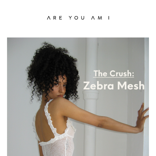 The Crush: Zebra Mesh🦓