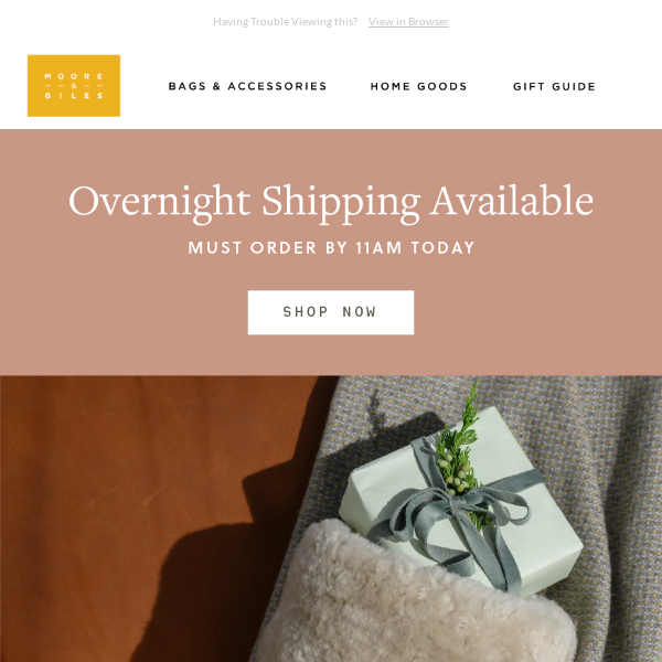 FINAL CHANCE for overnight shipping