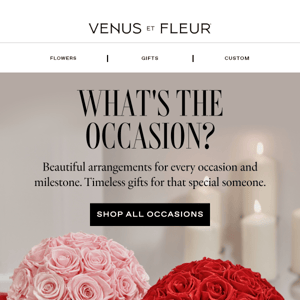 Black Roses Meaning, History, & Gift Guide - Venus et Fleur