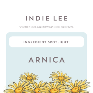 Skincare All ⭐ Ingredient: Arnica