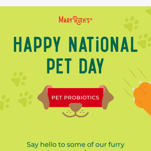 🐶 🐱 Happy National Pet Day!