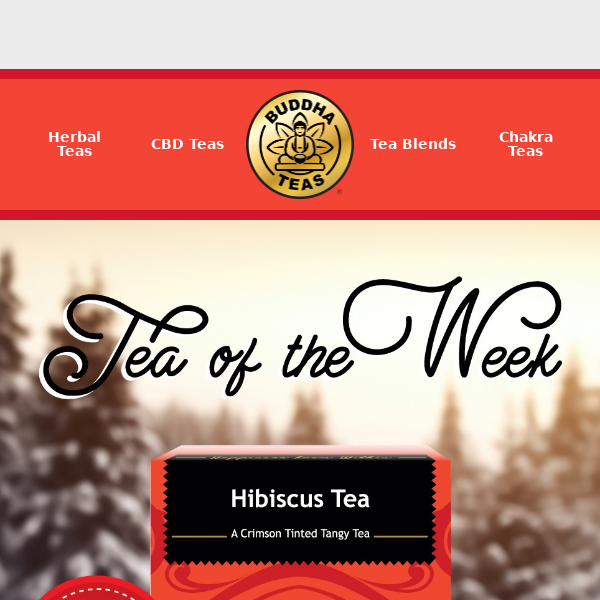 Tea of the Week: Get 50% OFF Hibiscus Tea!