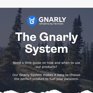 The Gnarly System