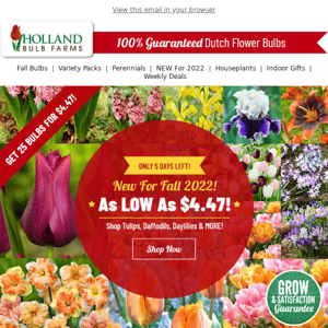 DON'T WAIT: NEW Blooms as LOW as $4.47!