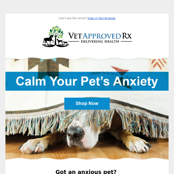 Got an anxious pet?