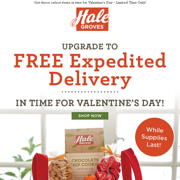 💖 Upgrade to FREE Expedited Delivery in Time for Valentine's Day! 🍊