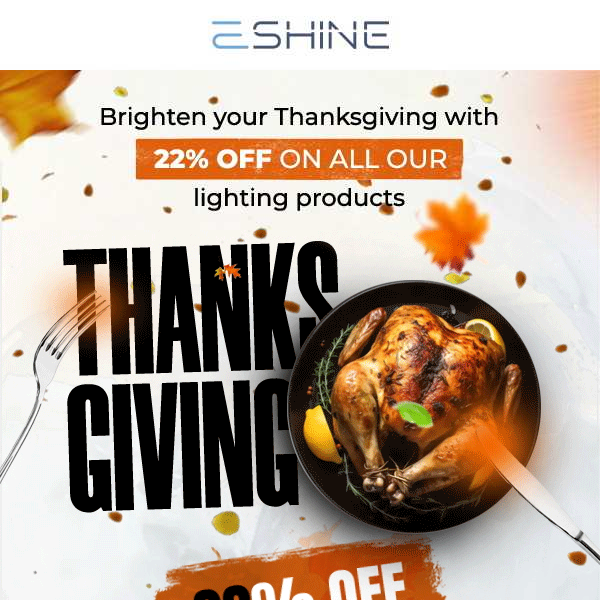 ✨Thanksgiving Glow: 22% Off All Lighting Items!