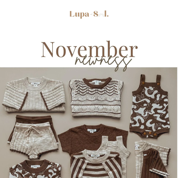 NOVEMBER NEWNESS