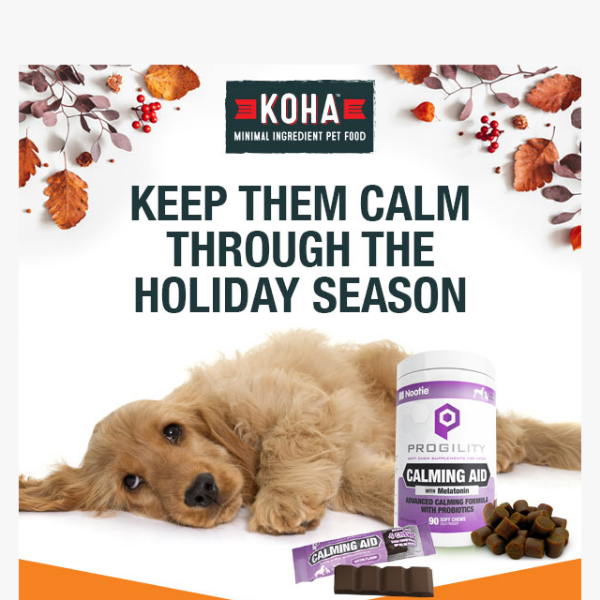 [FINAL HOURS] 20% off Calming Chews for Dogs🐶