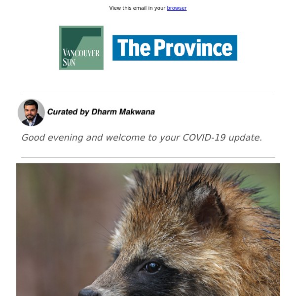 COVID may have originated in raccoon dogs, scientists say