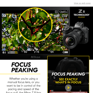 Introducing: Fast, bright walkaround lens - Nikon Canada
