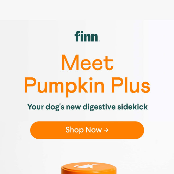New! Pumpkin Plus: Superfood Powder for Digestive Health & Regularity ✨