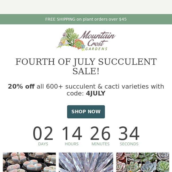 Save 20% on 600+ Unique Succulents! 🌵