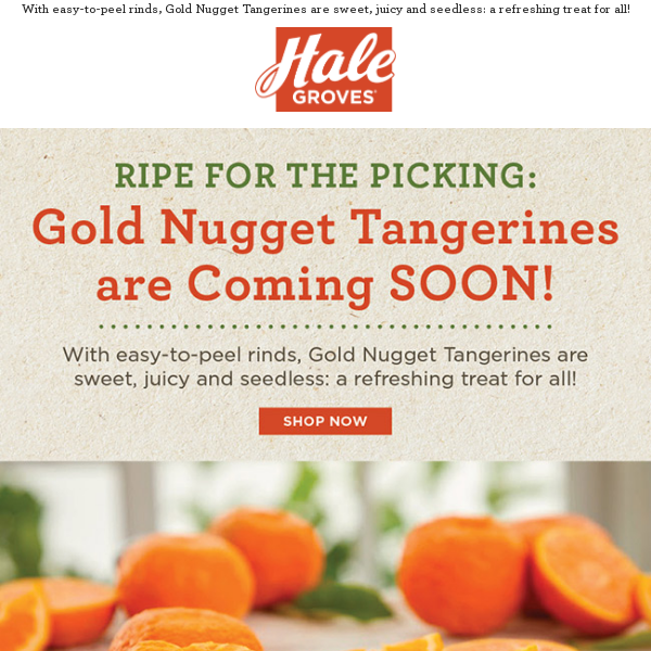 Ripe for the Picking: Gold Nugget Tangerines are Coming SOON! 🍊