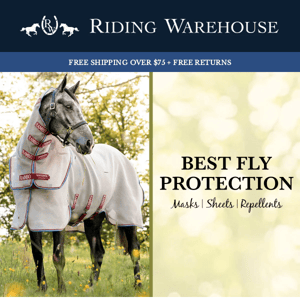 The Best Fly Protection For Your Horse