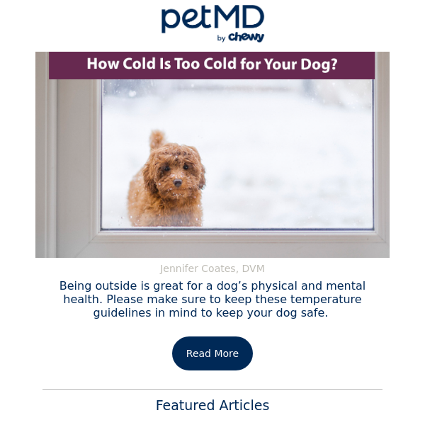 How Cold Is Too Cold for Your Dog?