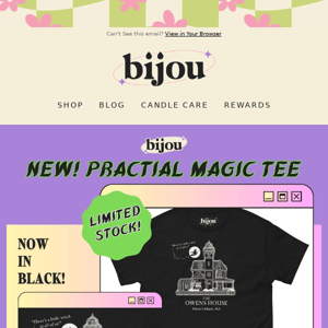 🐈‍⬛🔮 NEW! Practical Magic T-Shirt 🔮🐈‍⬛