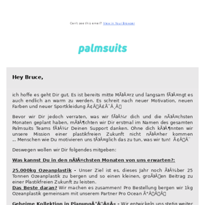 AW: Palmsuits Deine Kooperationsanfrage 🌴