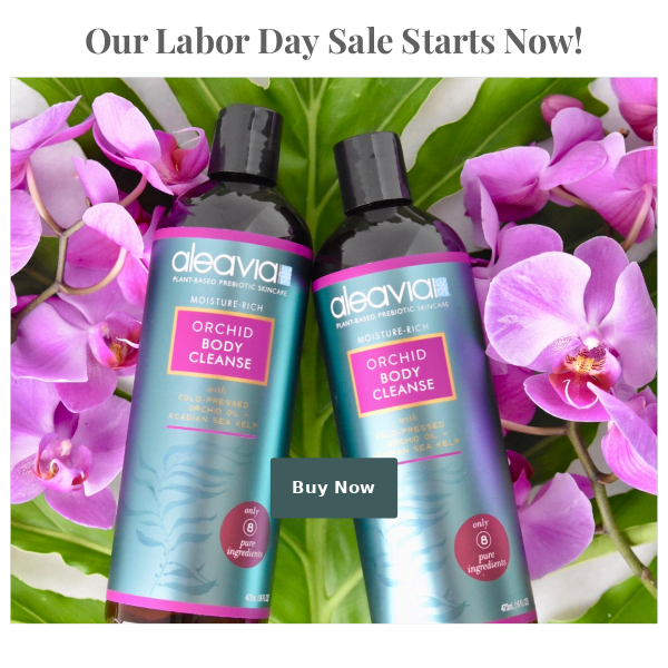 Our Labor Day sale starts now!